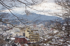 冬