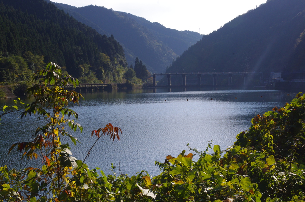 静かな水面