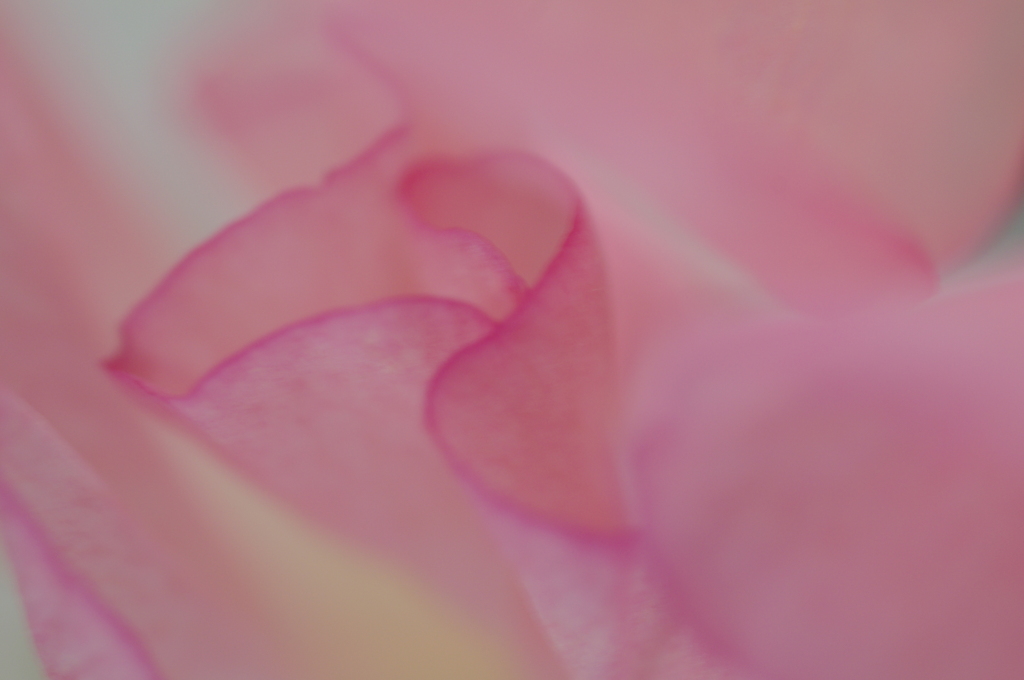 薄衣