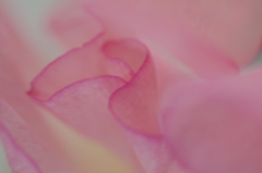 薄衣