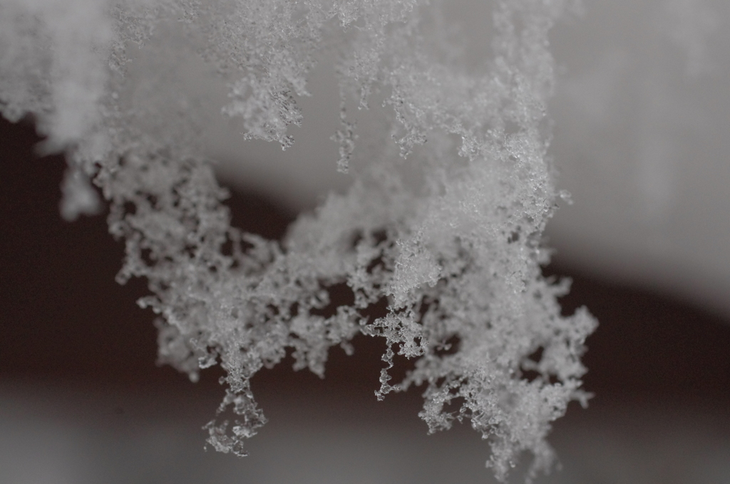 雪垂