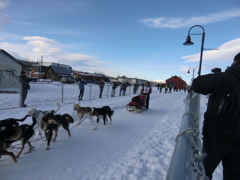 2012 Yukon Quest