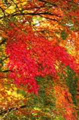 仙台、秋2010