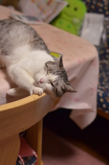 うにゃうにゃ