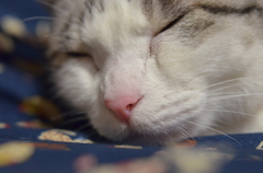 ぐっすり♪