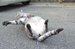 踊る♪