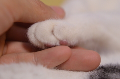 この手に握る幸福