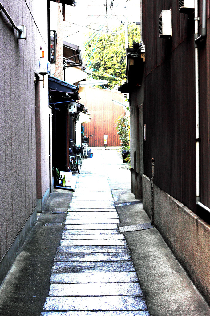 秘密の場所