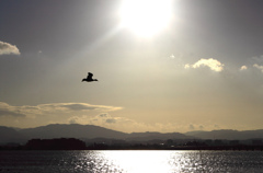 Air swimming