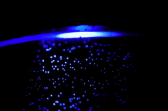 bubble の光