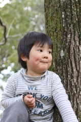木に登るおさる