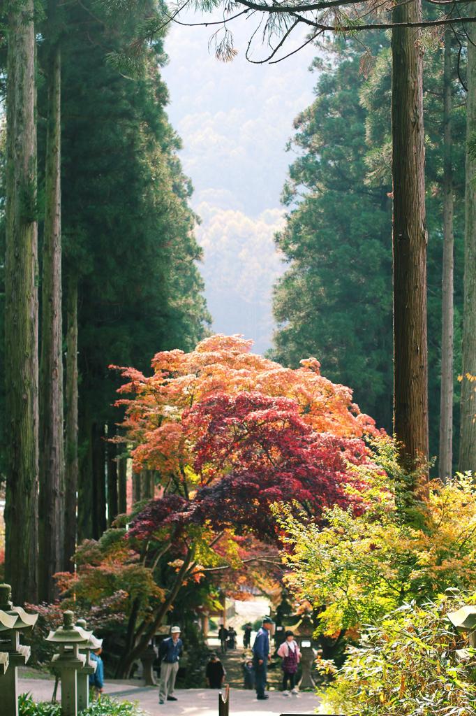 長野市若穂　清水寺（せいすいじ）