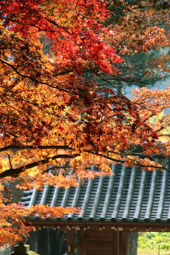 長野市若穂　清水寺（せいすいじ）