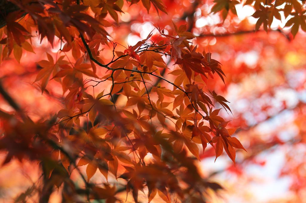 長野市若穂　清水寺（せいすいじ）