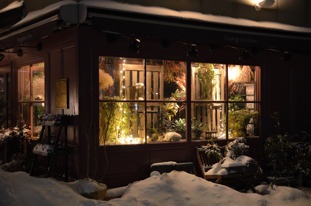 The florist in snow