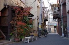 IMGP4452