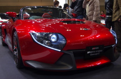 SPORTS HYBRID CONCEPT