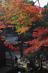 紅葉見頃の定光寺