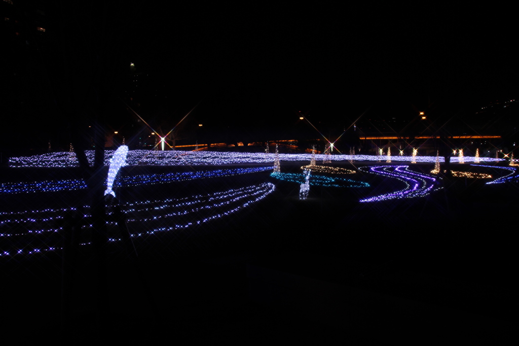 中之島イルミ東会場5