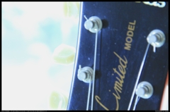 Guitar_01