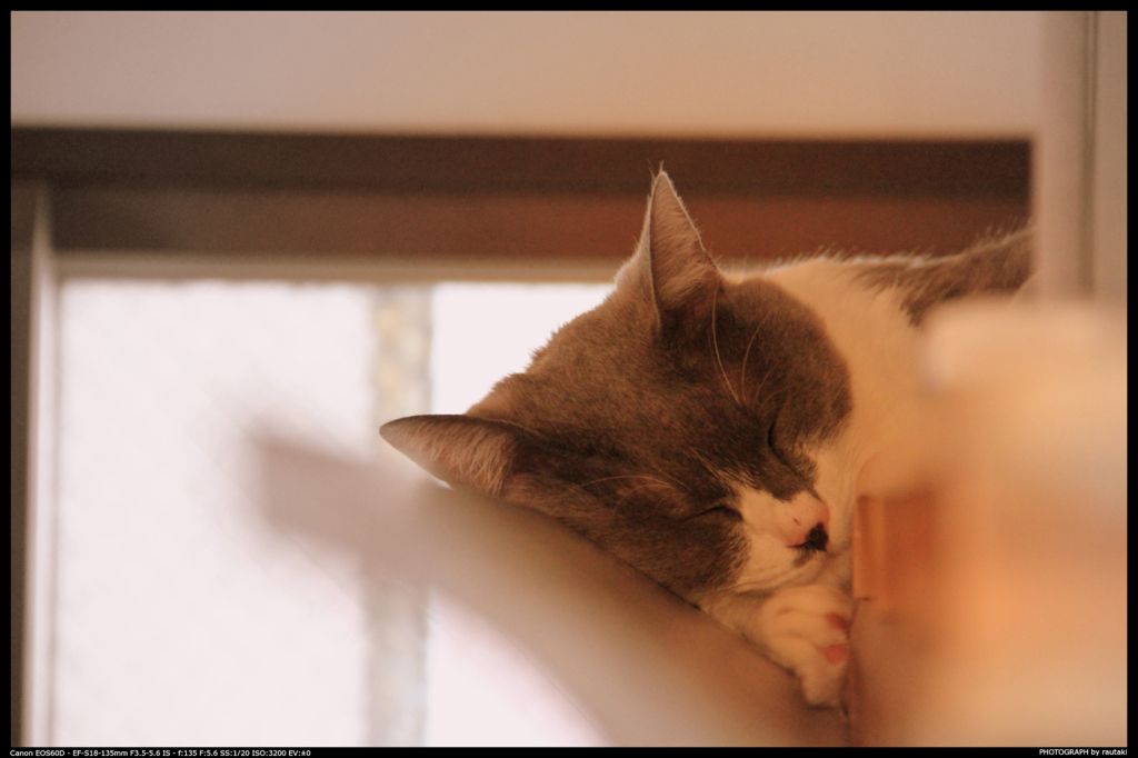 sleeping...