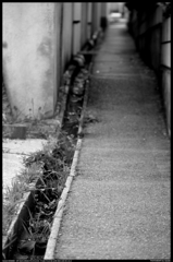 細道