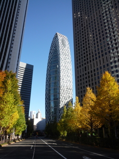 新宿高層ビル群とコクーンタワー