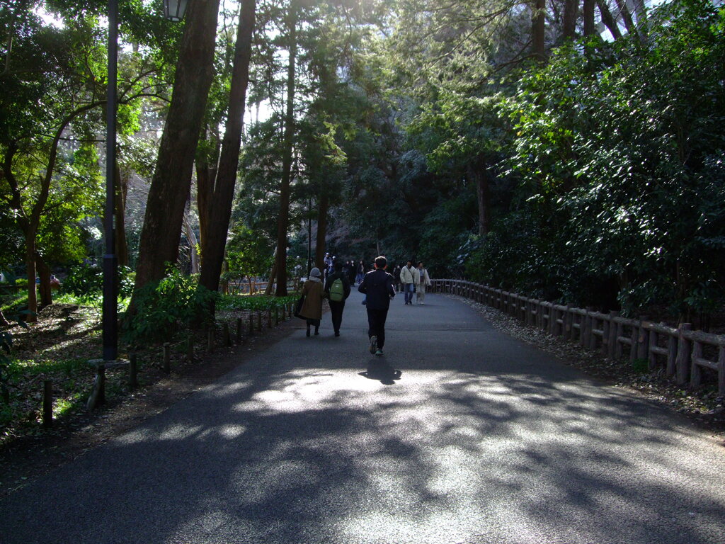 吉祥寺井之頭公園