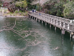 井の頭池