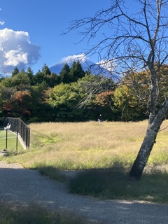 足柄SAからの富士山