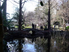 吉祥寺井の頭公園