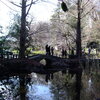 吉祥寺井の頭公園