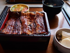 山梨初花の鰻重上