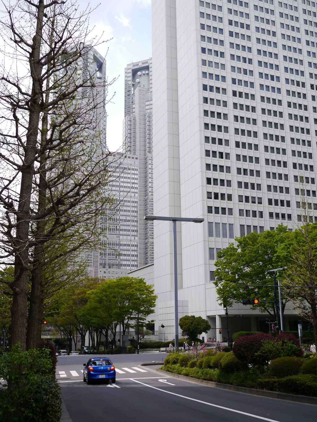 新宿NSビルと都庁