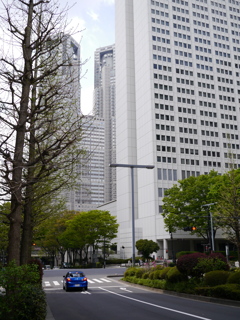 新宿NSビルと都庁