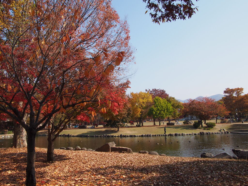 小布施ハイウェイオアシスの紅葉