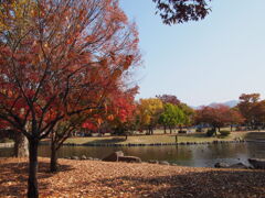 小布施ハイウェイオアシスの紅葉