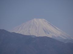 甲府昭和からの富士山