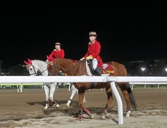 東京シティ競馬にて