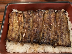 掛川のうなぎ