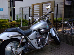 HONDA MAGNA