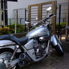 HONDA MAGNA