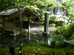 調布大正寺中庭