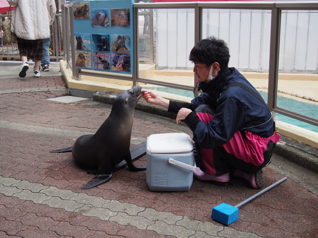 くつろぎ中