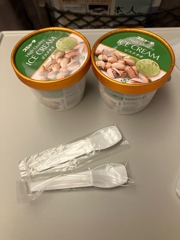新幹線内物凄く固いアイス