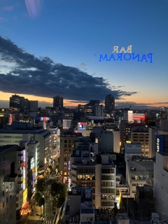 BAR PANORAMA