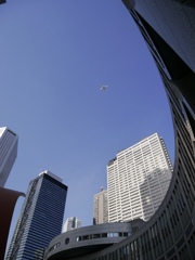 新宿都庁と青空