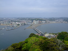 展望台から望む江の島