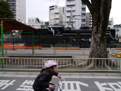 機関車と並走(風)