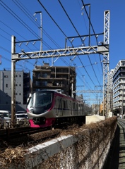 府中駅に向かう京王ライナー